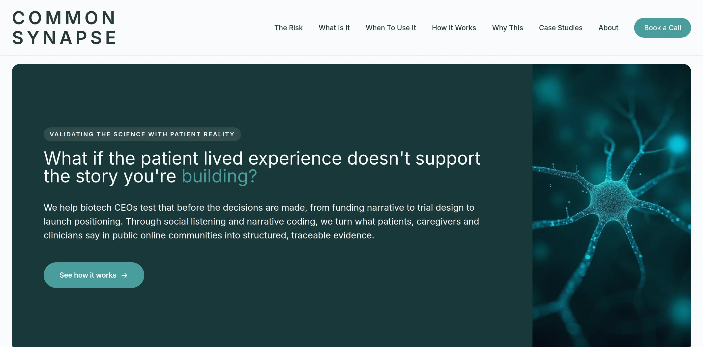 The Common Synapse website