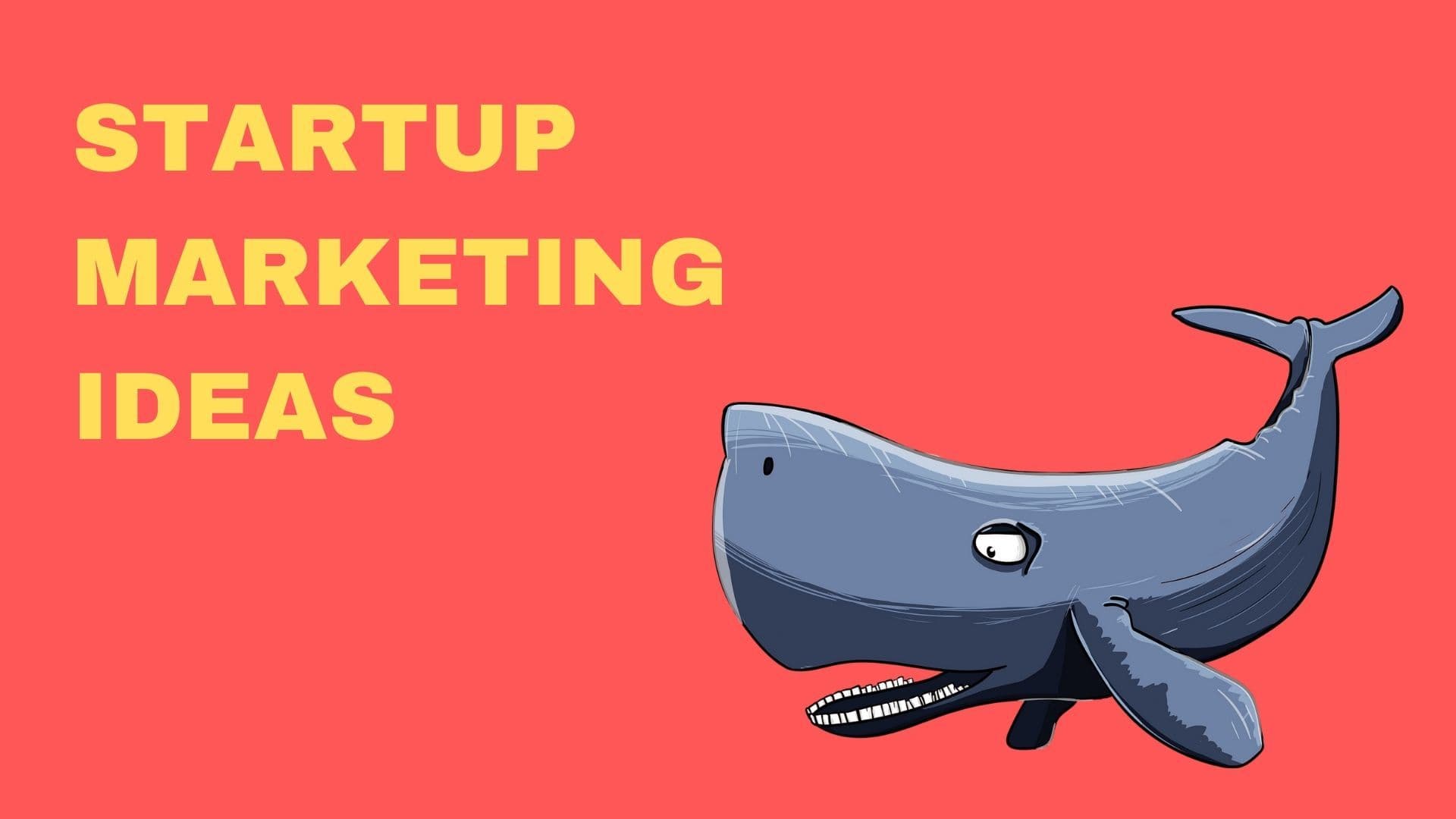 Startups: no-budget sales and marketing on LinkedIn.